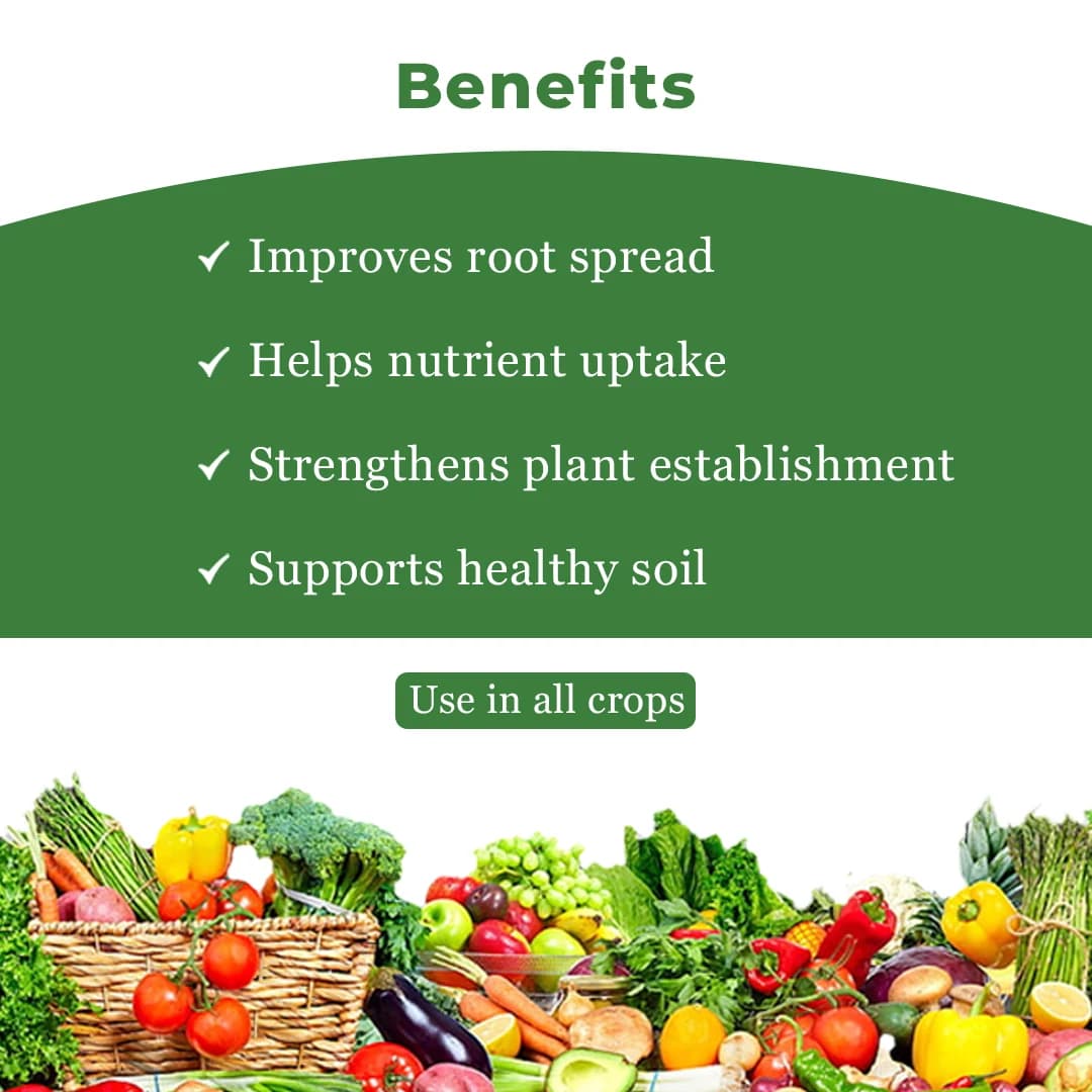 EBS VAM Bio Fertilizer (Vesicular Arbuscular Mycorrhizal) To Improve Soil Fertility In Your Farm & Garden - Image 4