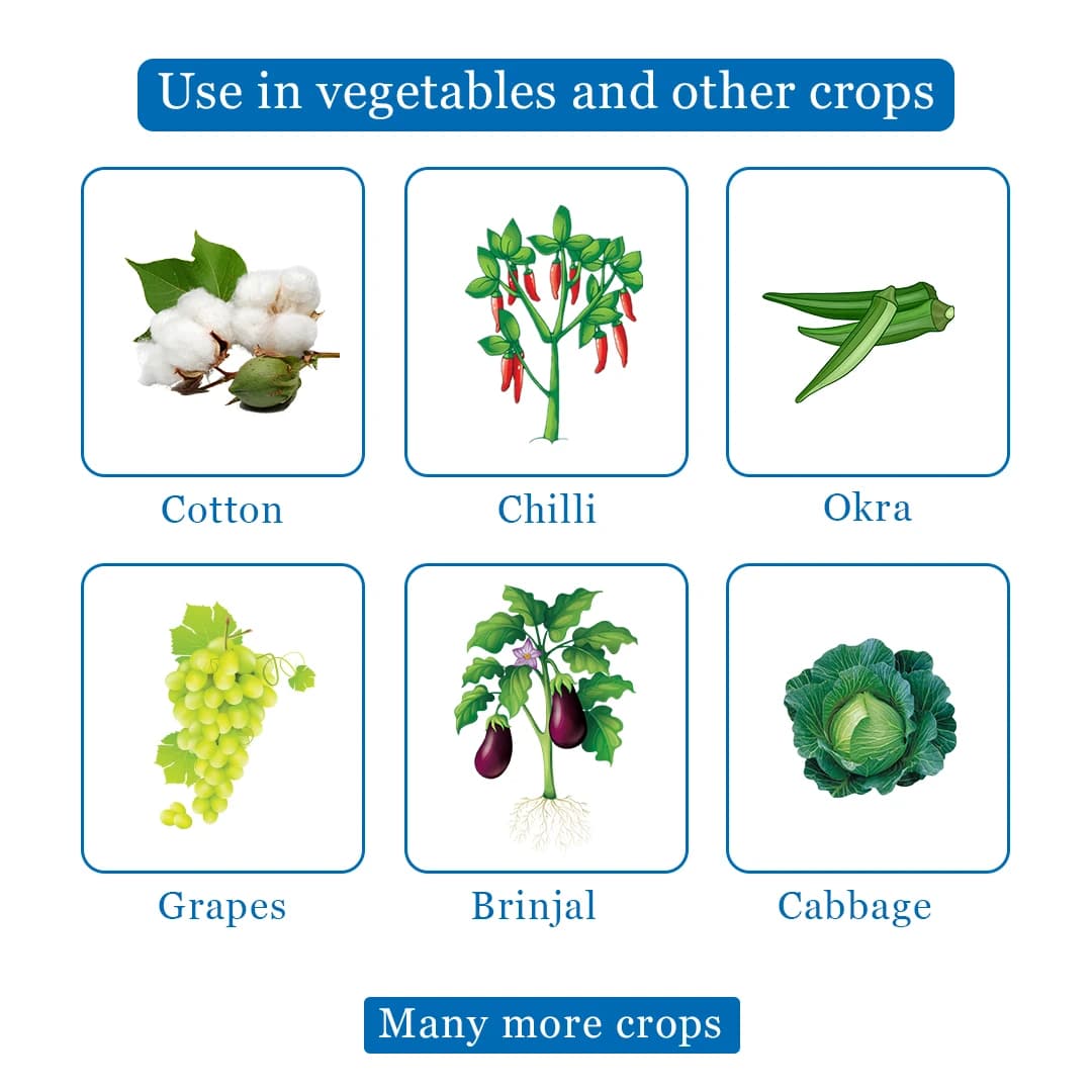 Emoctan Insecticide - Emamectin Benzoate 5% SG - Image 4