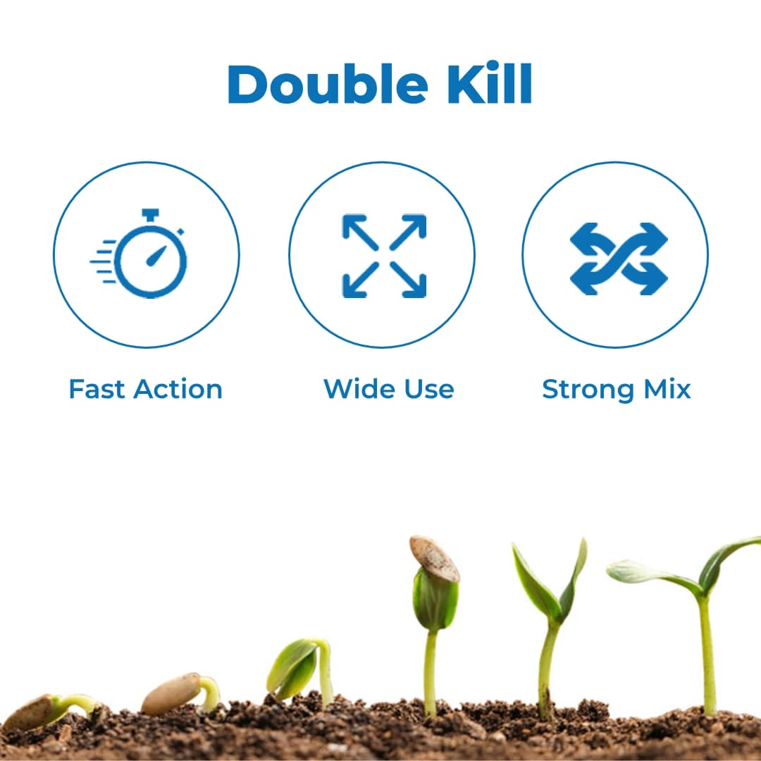 आईआईएल लेथल सुपर 505 क्लोरपाइरीफोस 50% + सायपरमिथ्रिन 5% ईसी कीट नाशक, व्यापक प्रकार के कीटों के विरुद्ध प्रभावी - Image 3