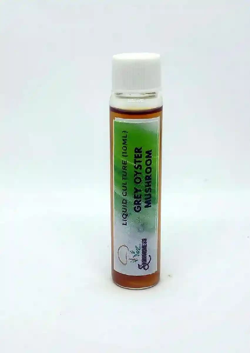 Shroomness Reishi Mushroom Spawn Liquid Culture , Mycelium Liquid Spawn, Best For Mushroom Farmer