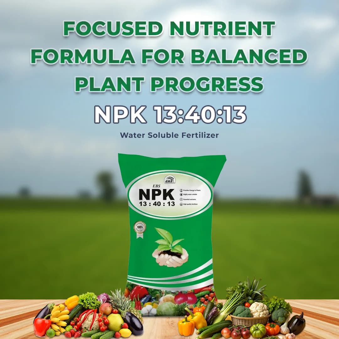 EBS NPK 13:40:13 Fertilizer - 100% Water Soluble - Image 2