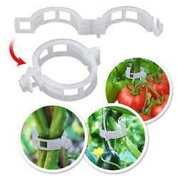 Siddhi Plastic Garden Plant Support Clips, Tomato Clips for Tomato Cucumber Flower Squash Vine to Make Garden Vegetables Grow Healthy