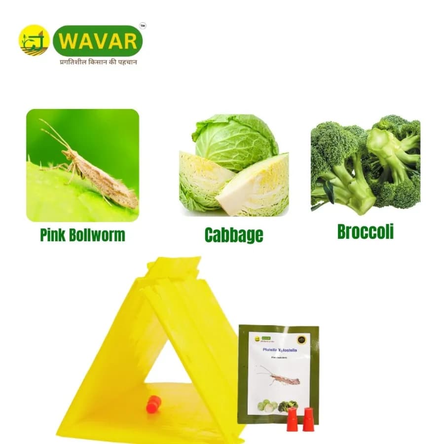 WAVAR Delta Trap with Plutella Xylostella Lure, Effective For Diamondback Moth Pest Control - Image 3