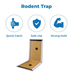 PCI Trubble Gum Mouse Glue Trap, Can Be Used In Houses, Kitchens, Warehouses, Offices 3