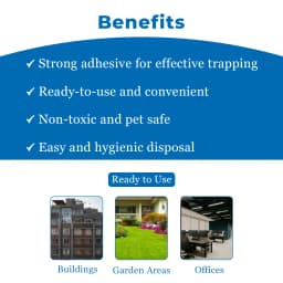 Mouse Glue Trap, RATO\'N TRAPPER Can be used for Home, Warehouse, Agriculture, Factory, False Ceiling. Ready to use product. 4