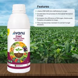 Green Revolution Jivanu ZSB Zinc Solubilizing Bacteria Liquid Bio Fertilizer, Boosts Soil Fertility And Sustainability 3