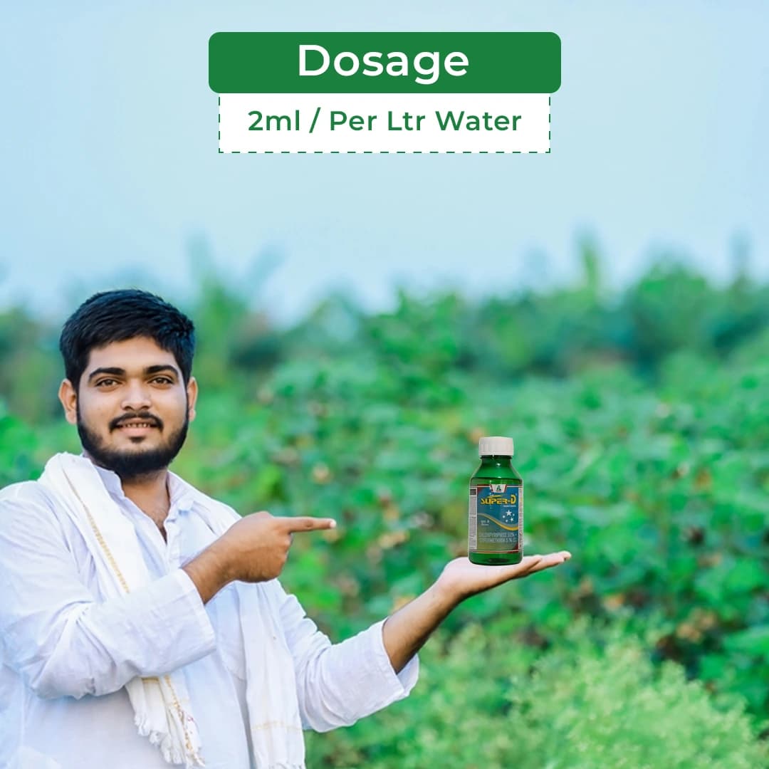 Dhanuka Super D Chlorpyriphos 50% + Cypermethrin 5% EC Insecticide, Systemic And Contact, Effective For Sucking And Chewing Pests In Cotton - Image 5