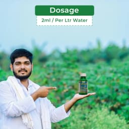 Dhanuka Super D Chlorpyriphos 50% + Cypermethrin 5% EC Insecticide, Systemic And Contact, Effective For Sucking And Chewing Pests In Cotton 5