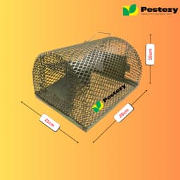 Pestezy Large Rat Or Mouse Trap Cage, Pinjara For Catching Big And Small Rats, Mice Ghoose Family 2