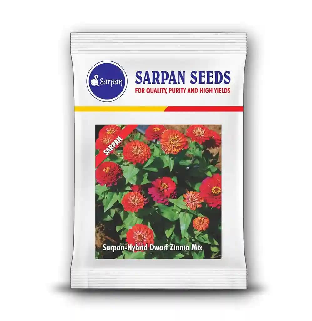Sarpan Hybrid Dwarf Zinnia Mix is an Annual flower grown in Tropical climates - Image 1