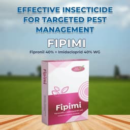 Agriventure FIPIMI (Fipronil 40% + Imidacloprid 40% WG) Contact And Systemic Insecticides, Control of White Grubs, and Other Sucking Pests. 2