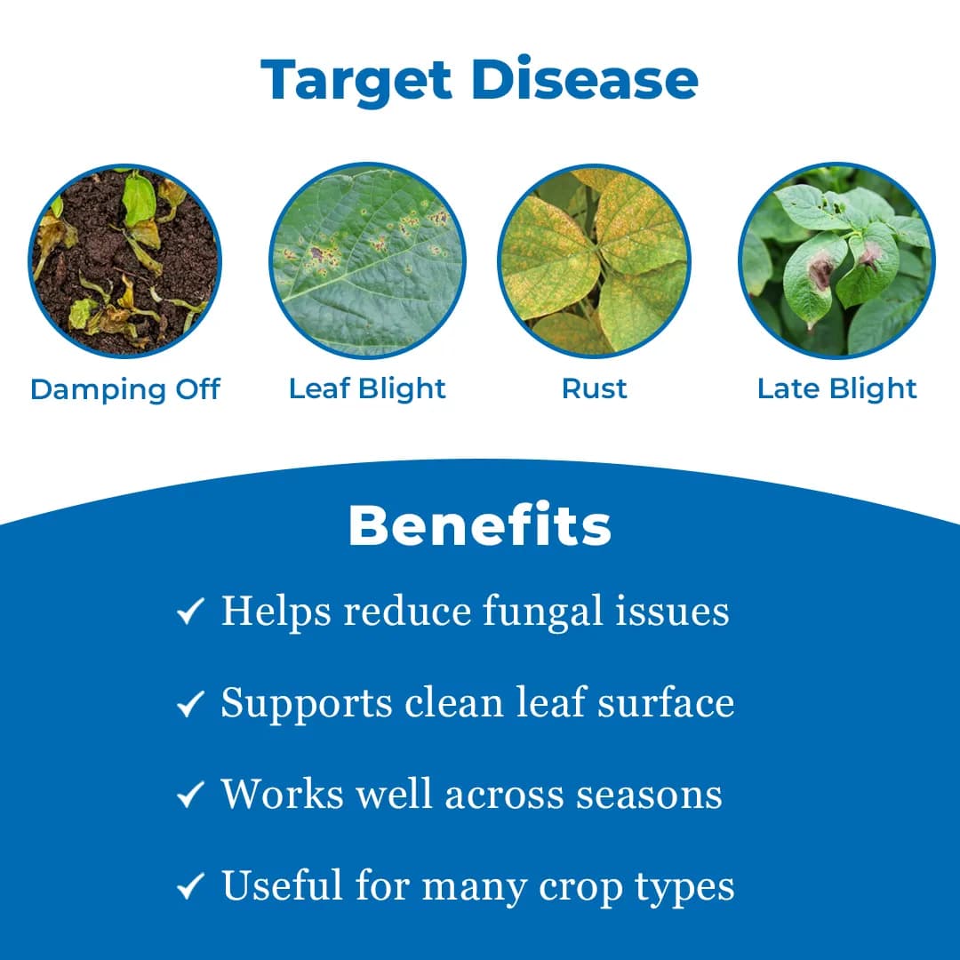 EBS Metman Fungicide - Metalaxyl 8% + Mancozeb 64% WP - Image 3