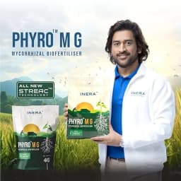 Inera PHYRO MG Mycorrhizal Bio Fertilizer, Eco-Friendly Fertilizer For Better Plant Health and Increased Crop Yield 2