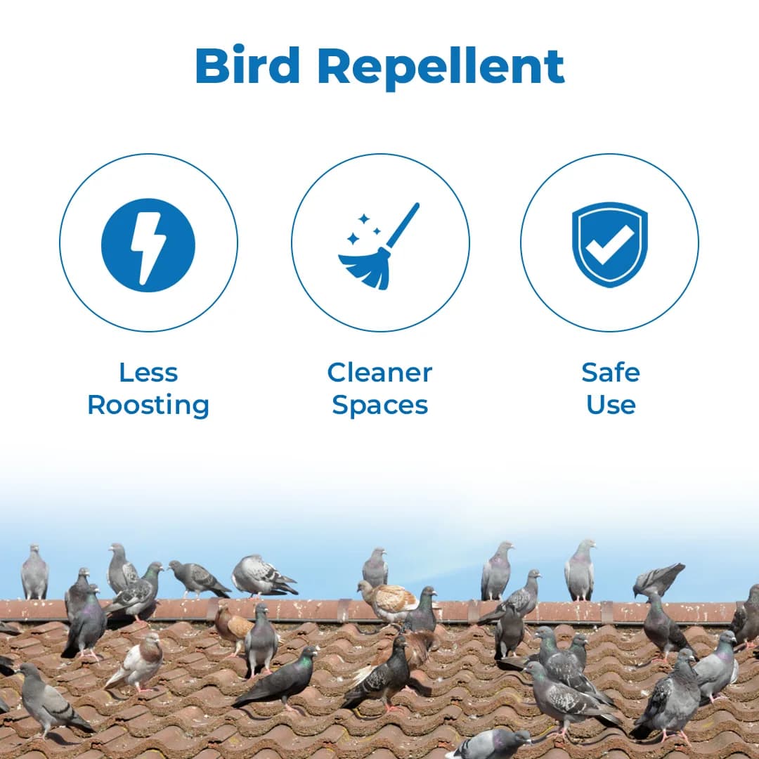 Katyayani Pigeon Repellent - Image 3