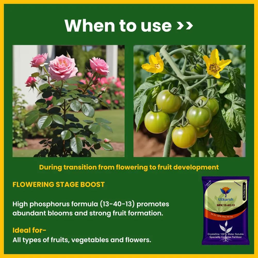 Utkarsh NPK 13:40:13 (Crystalline 100% Water Soluble Complex Fertilizer), Best for Drip Irrigation - Image 4