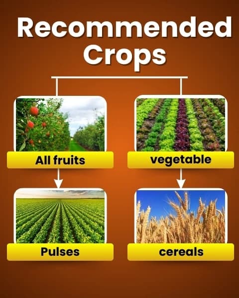 Katyayani Nutritious Plant Growth Regulator - Image 7