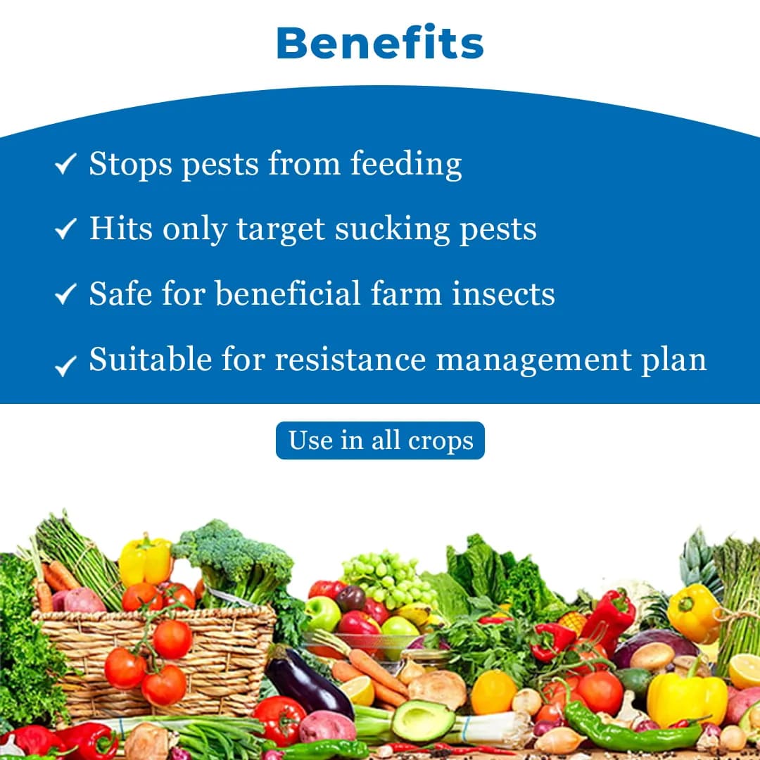 EBS Insectastop Pymetrozine 50% WG Insecticide, Powerful Control Against Rice Plant Hopper, Also Control All Stages of Aphids, Whiteflies - Image 5
