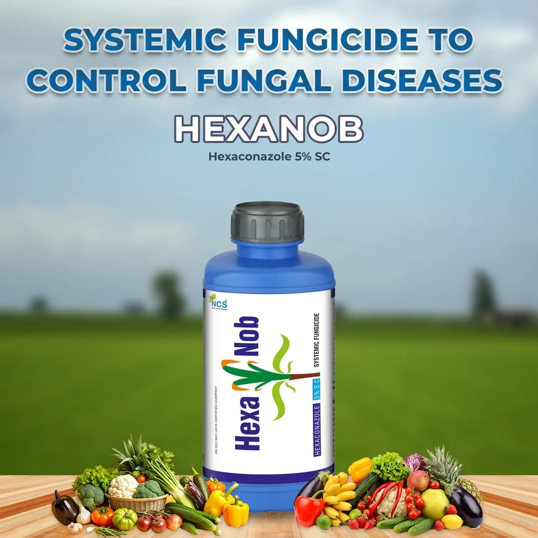 हेक्सानोब - हेक्साकोनाज़ोल 5% एससी, पाउडरी फफूंदी को नियंत्रित करने के लिए बहुत प्रभावी प्रणालीगत कवकनाशी। - Image 2