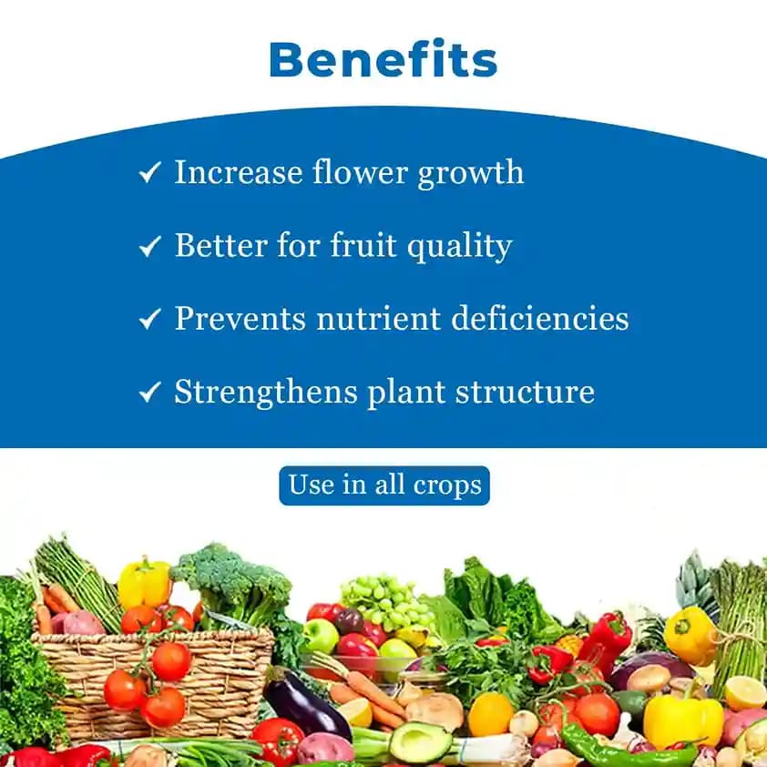 Insta Bor 20% Disodium Octaborate Tetrahydrate, Boron 20% For Development Of Roots, Fruit Growth - Image 4