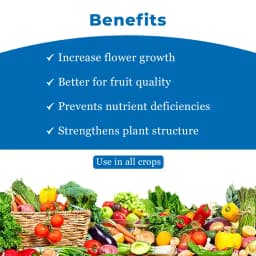 Insta Bor 20% Disodium Octaborate Tetrahydrate, Boron 20% For Development Of Roots, Fruit Growth 4