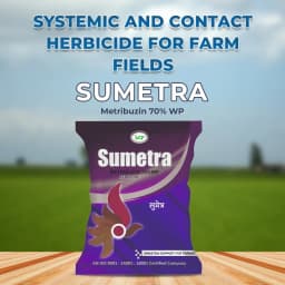 Sumetra Metribuzin 70% WP, Systemic and Contact Herbicide, Control of Annual Broad-Leaved Weeds 2