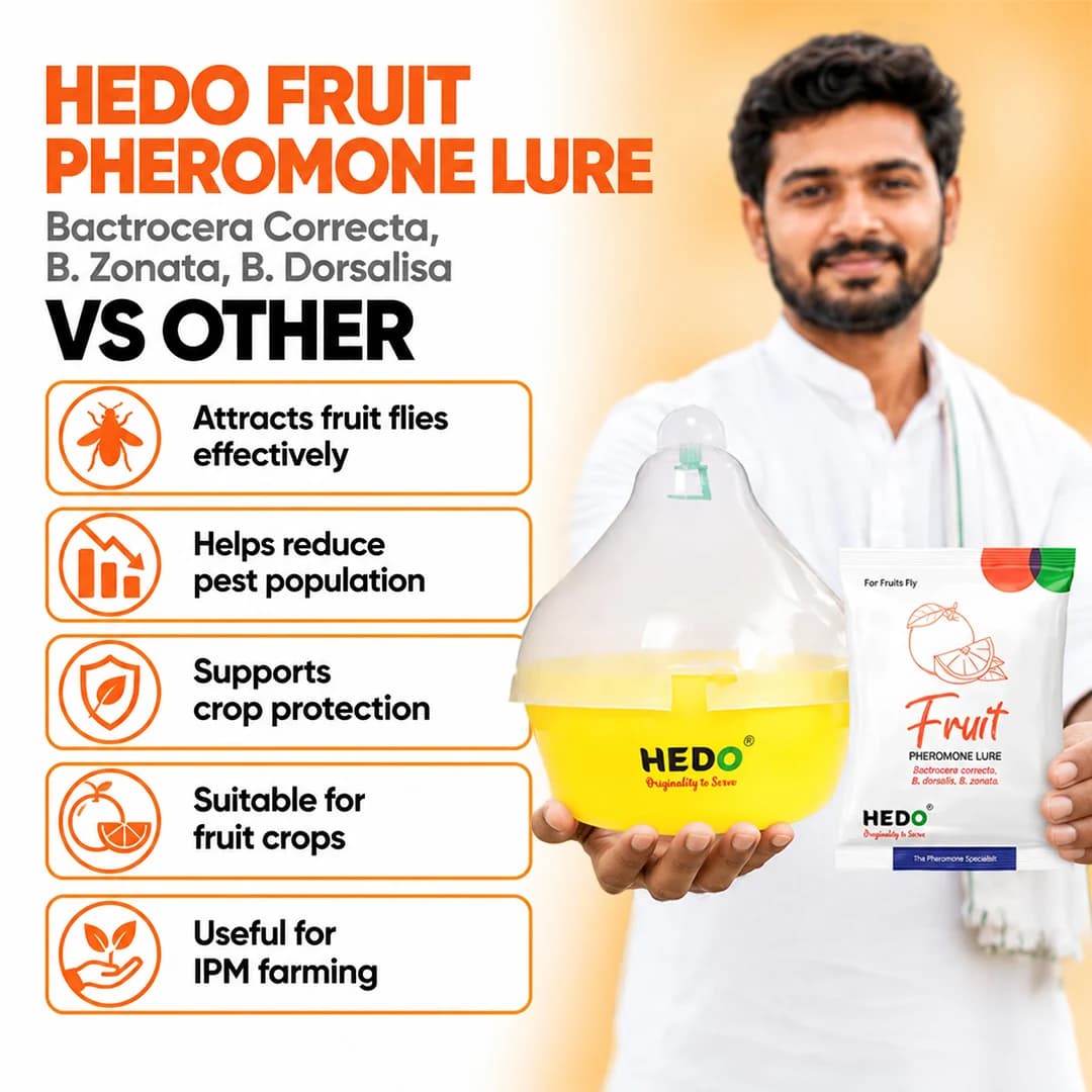 HEDO ఫ్రూట్ ఫ్లై ట్రాప్ మరియు ఫ్రూట్ ఫ్లై ల్యూర్ (Bactrocera Correcta, Bactrocera Zonata, Bactrocera Dorsalisa) అన్ని పండ్లలో ఫ్రూట్ ఫ్లై నియంత్రణ - Image 8