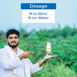 F-Zone - Fungicide, For Effective Control Over All Types of Fungal Diseases in Crops 6