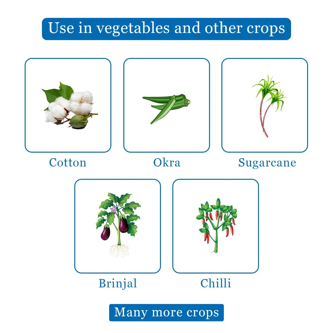 Katyayani Azozole Fungicide - Image 4