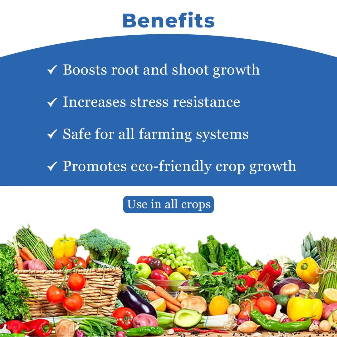 सीवीड एक्सट्रैक्ट एक जैविक उर्वरक, उच्च गुणवत्ता, प्राकृतिक अत्यधिक विशिष्ट प्रेरक पदार्थ, फसलों की जीवनदायिनी शक्ति। - Image 4