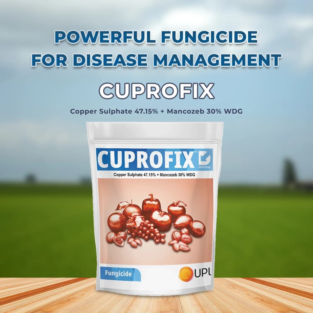 UPL Cuprofix Copper Sulphate 47.15% + Mancozeb 30% WDG, Fungicide For Grapes - Image 2