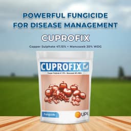 UPL Cuprofix Copper Sulphate 47.15% + Mancozeb 30% WDG, Fungicide For Grapes 2