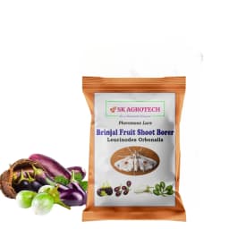 SK Agrotech Leucinodes Orbonalis (Brinjal Fruit and Shoot Borer) Pheromone Trap With Lure - Effective Pest Management Solution 6
