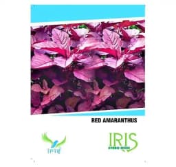 Iris Hybrid Vegetable Seeds Amaranthus Red, Lal Chaulai Seeds, Best For Kitchen Garden. (50 Seeds) 1