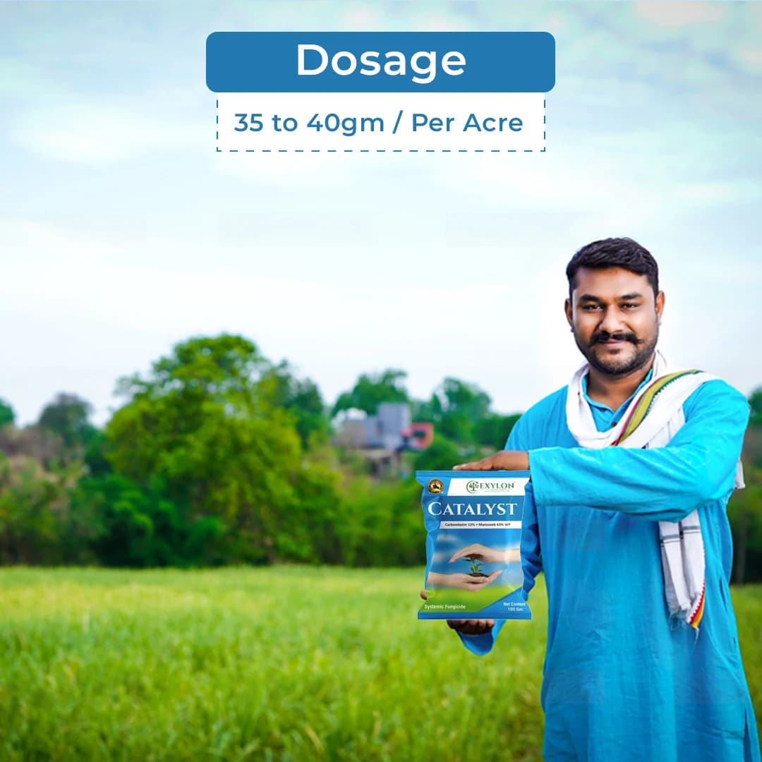 Exylon Catalyst Fungicide - Carbendazim 12% + Mancozeb 63% WP - Image 5