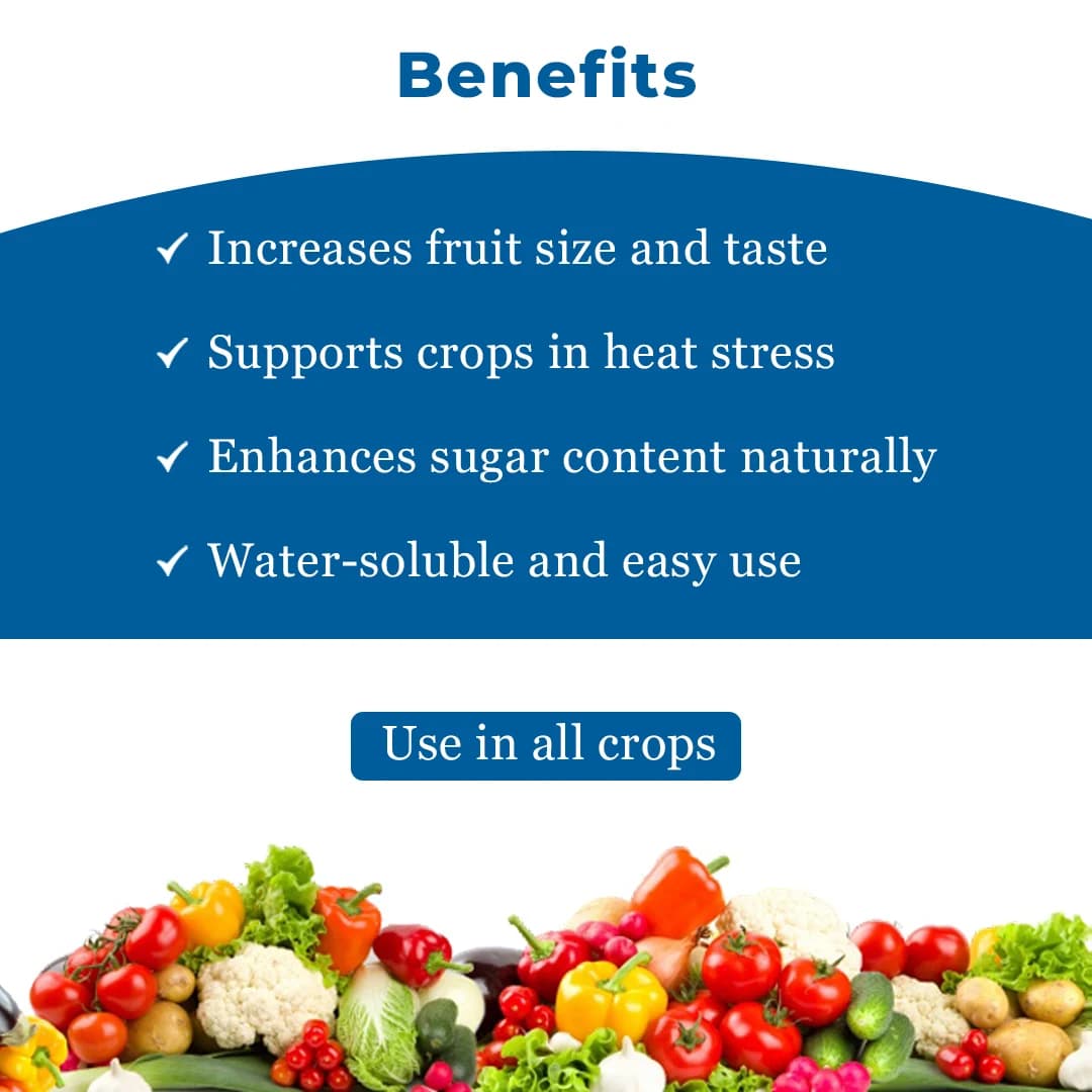 EBS NPK 13:00:45 (Potassium Nitrate) Water Soluble Fertilizer, Increases Yields And Improves Quality Of Crops - Image 4