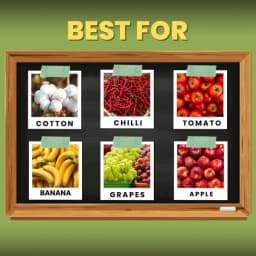 Katyayani Bloom Booster Homobrassinolide 0.04% Plant Growth Regulator, Use for Cotton, Brinjal, Chili, Banana, Cabbage, Cauliflower, Vegetables, Fruit 4