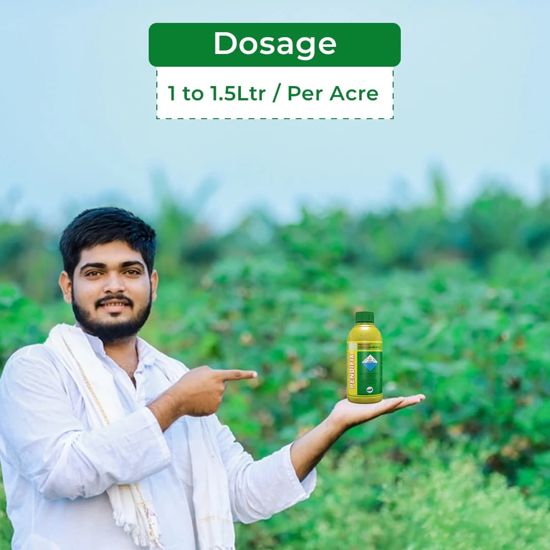 जीएसपी पेंडिफ़िक्स पेंडिमेथालिन 30% ईसी, प्रमुख फसलों के लिए प्री-इमर्जेंस चयनात्मक खरतपरवारनाशक - Image 5