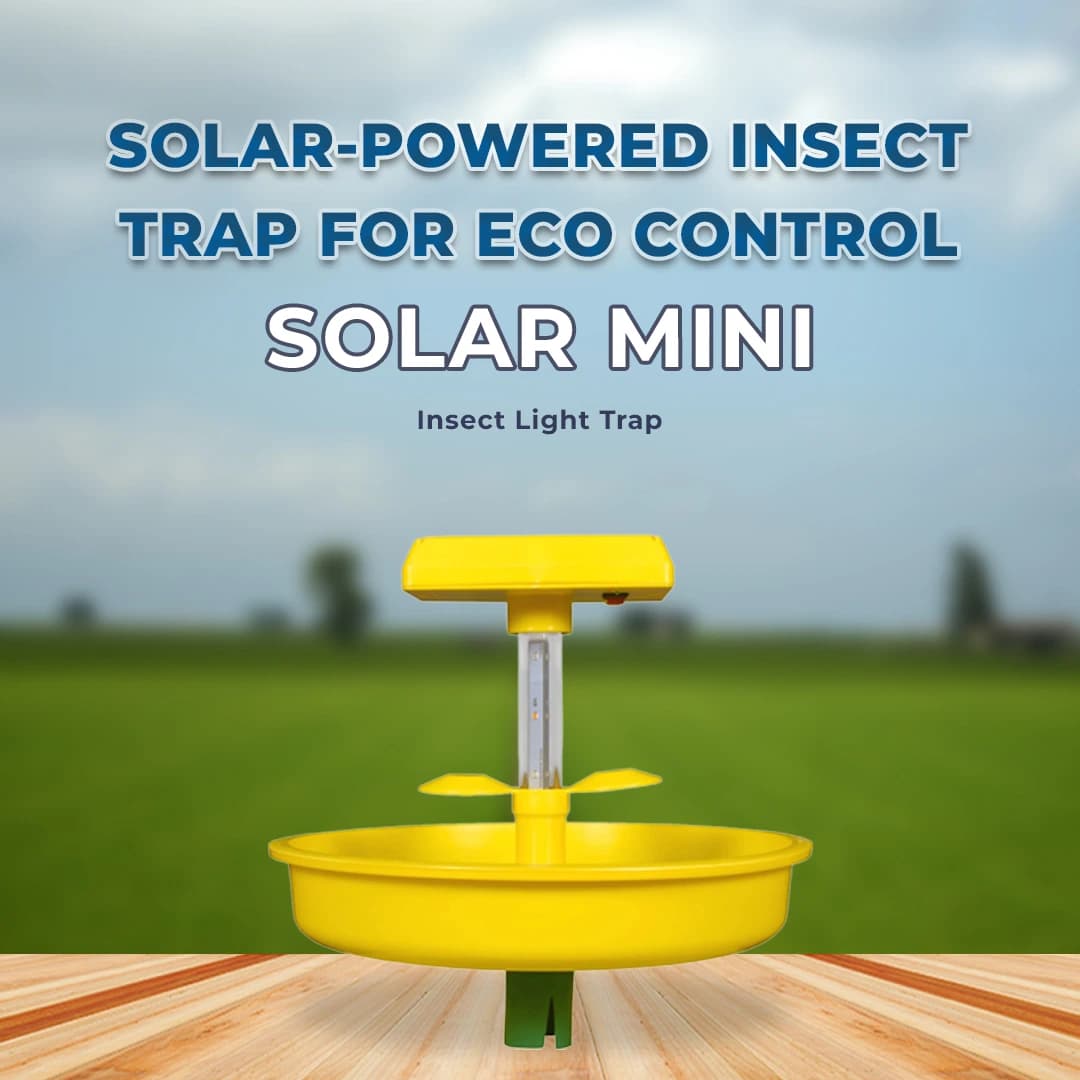 HEDO Solar Mini Chargeable Insect Light Trap, Solar Insect Killer Trap To Control Flying Insect - Image 3