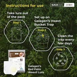 Gaiagen RPW Lure With Insect Bucket Traps, Pheromone Lure For Red Palm Weevil (Rhynchophorus Ferrugineus), IMO Certified. 1