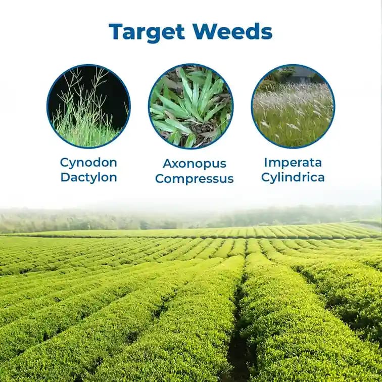 HPM GARUD (Glyphosate 41% SL) Non Selective Systemic Herbicide with Rapid Translocation - Image 3