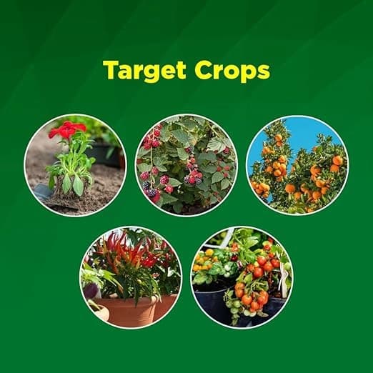 Titan Agritech Zotal-Zn Zinc Glycinate Liquid Micronutrient Fertilizer, Effective For Plant Growth And Zinc Deficiency - Image 5