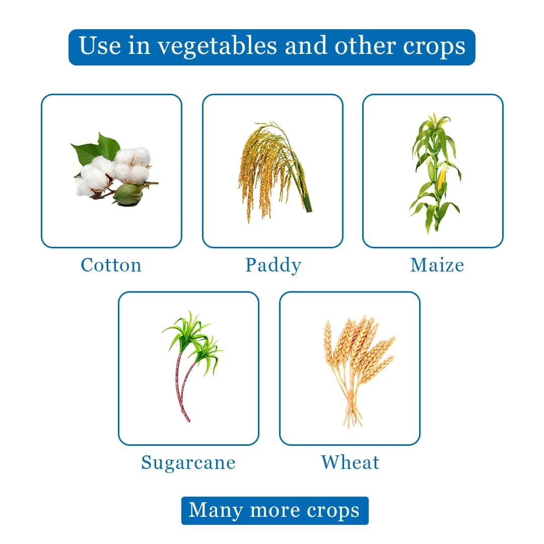 Sumitomo Kemlox 725 Quinalphos 25% EC Insecticide, Sucking And Chewing Pests In Cotton, Paddy And Oilseeds - Image 4