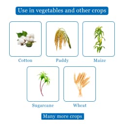 Sumitomo Kemlox 725 Quinalphos 25% EC Insecticide, Sucking And Chewing Pests In Cotton, Paddy And Oilseeds 4