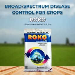 Biostadt ROKO Thiophanate Methyl 70% WP Fungicide, Broad Spectrum, Enhances Plant Growth And Yields 1