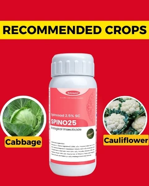 Katyayani Spino25 Spinosad 2.5% SC Insecticide, Effective Pest Control In Crops - Image 3