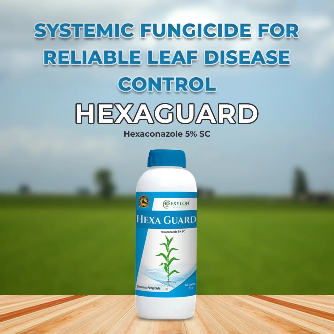Exylon Hexaguard Hexaconazole 5% SC Fungicide, Effective For Rust And Mildew Control In Crops - Image 2
