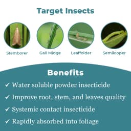 Emoxam - Emamectin Benzoate 3% + Thiamethoxam 12% WG, Powder Insecticide for Plants. 3