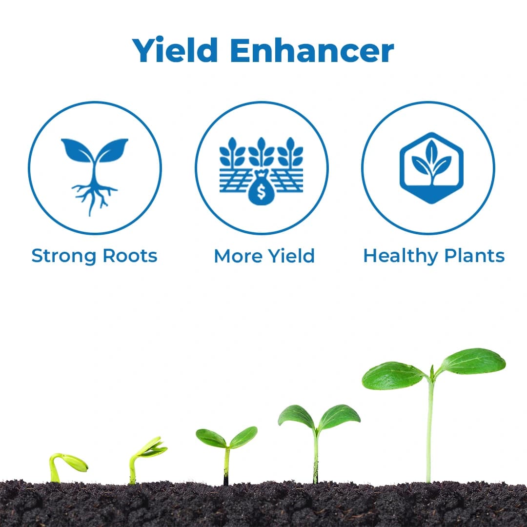 Godrej Vipul Booster - Plant Growth Regulator - Image 3