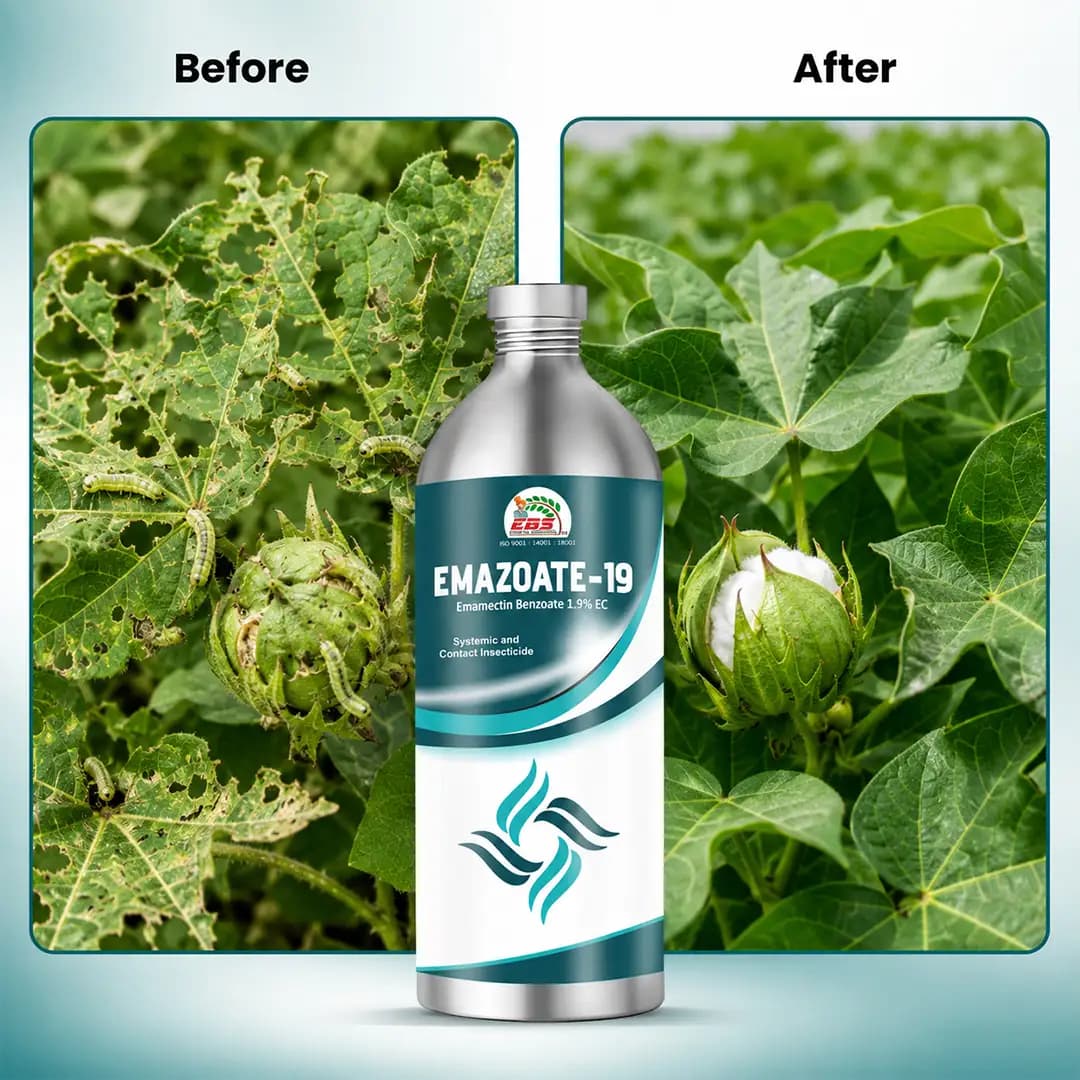 EBS Emazoate-19 Emamectin Benzoate 1.9% EC Systemic & Contact Insecticide for Caterpillar Control - Image 3