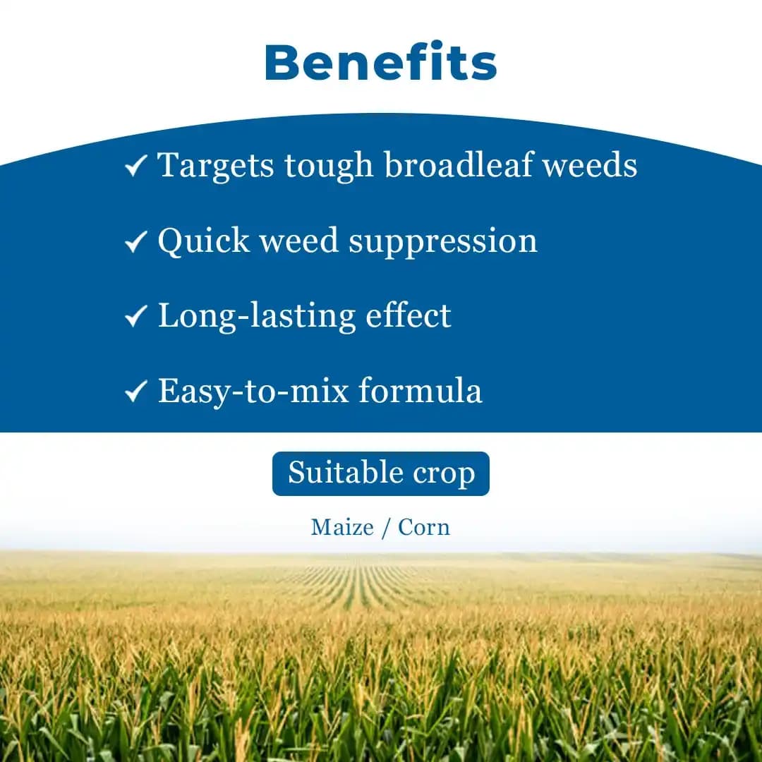 Bayer Laudis - Tembotrione 42% SC (34.4% ww) Broad Spectrum Post Emergence Herbicide, Surfactant For Control Of Broad Leaf and Grassy Weeds - Image 4